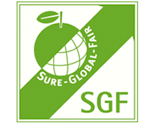 SGF